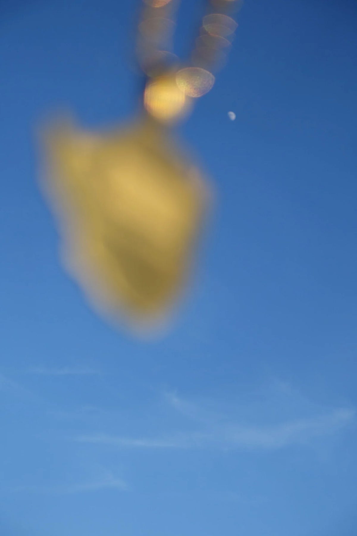 FLYING HIGH ON A FREE FALL