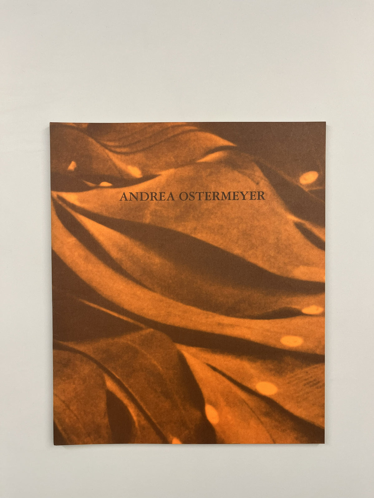ANDREA OSTERMEYER 1994