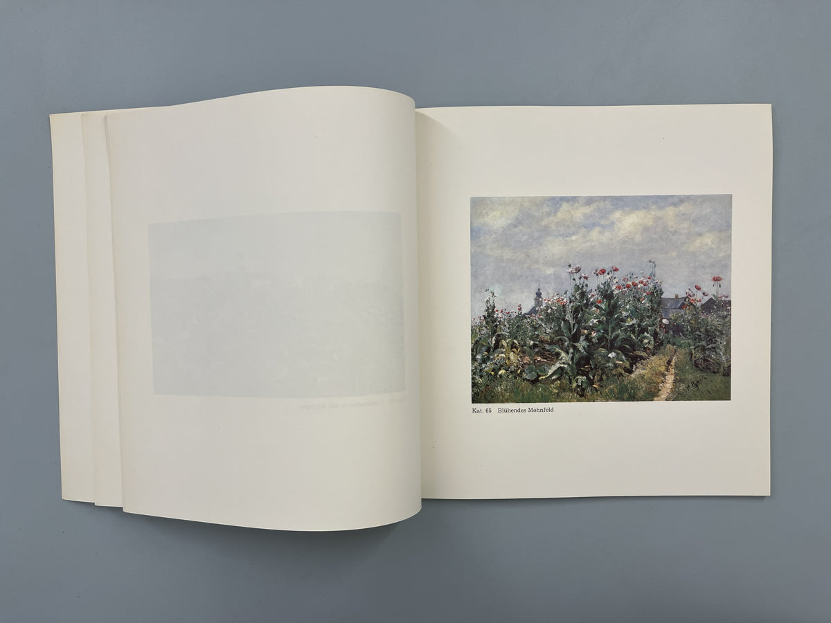 LANDSCHAFTEN BLUMENBILDER