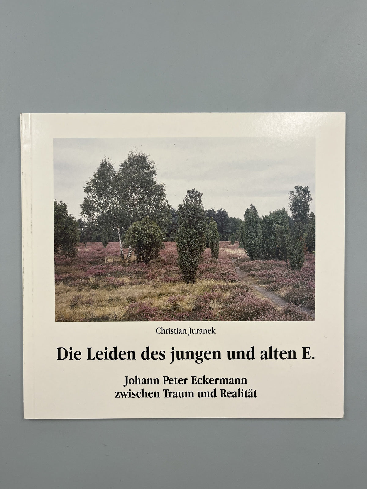 DIE LEIDEN DES JUNGEN UND ALTEN E.