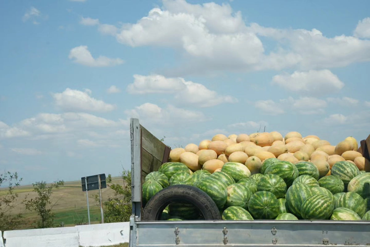 CLOUDS. MELON TRUCK