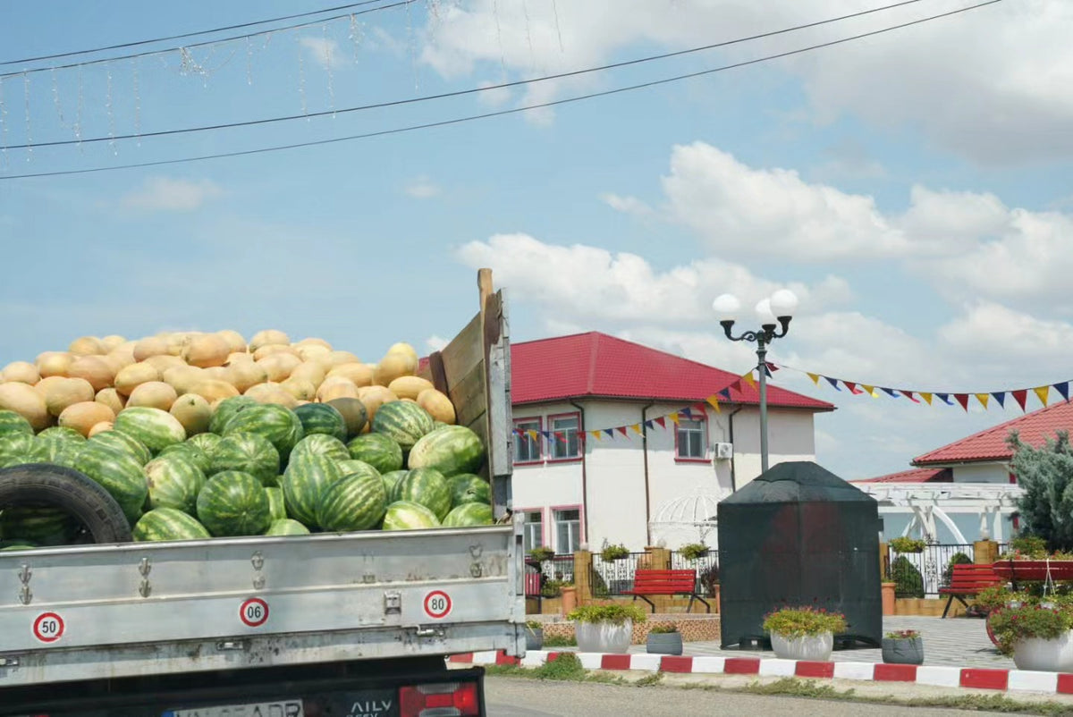ROOF TILES. MELON TRUCK