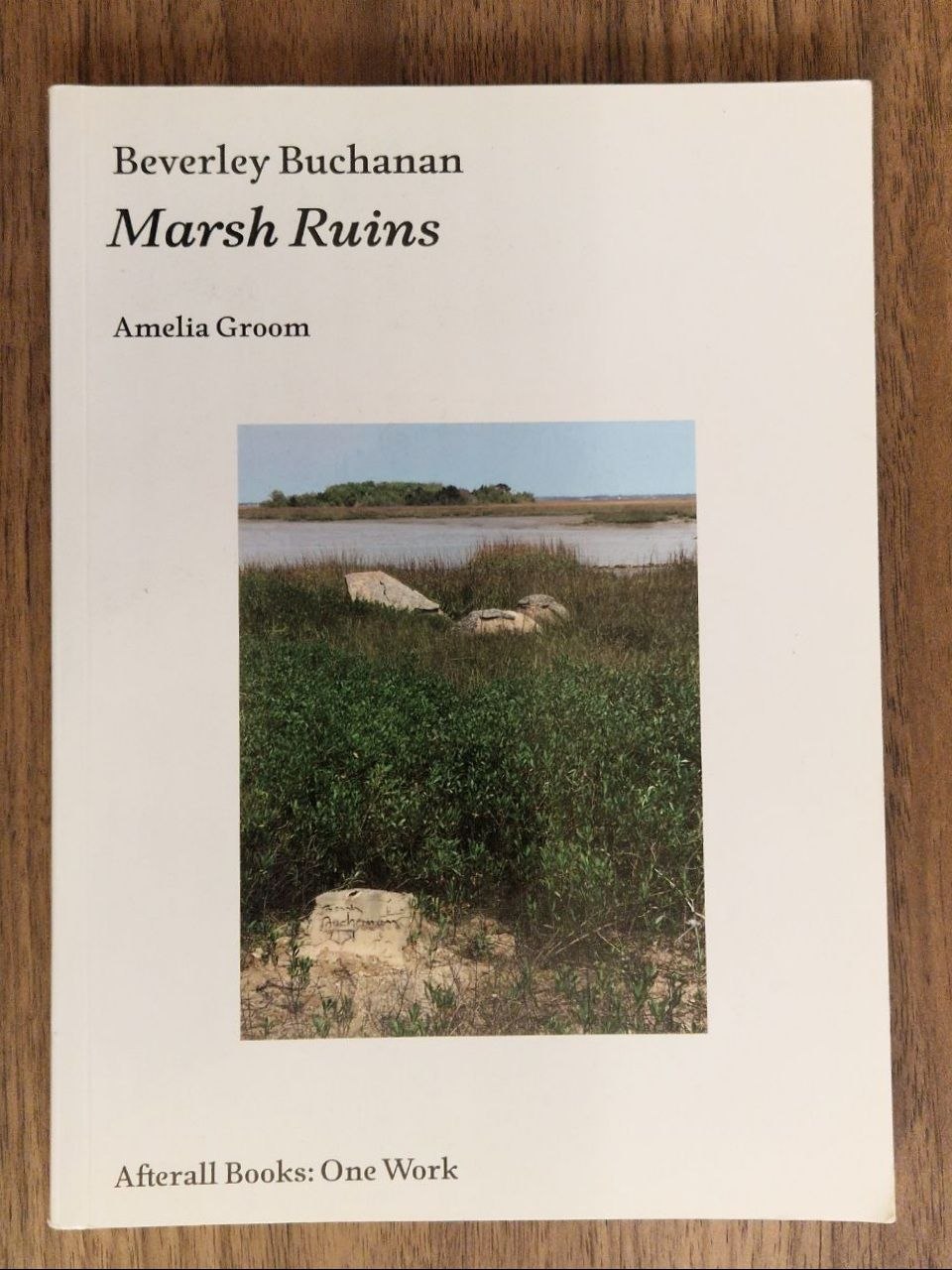 MARSH RUINS