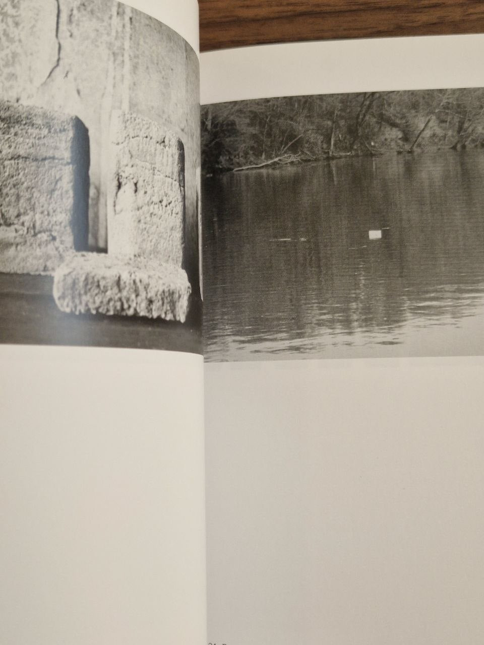 MARSH RUINS