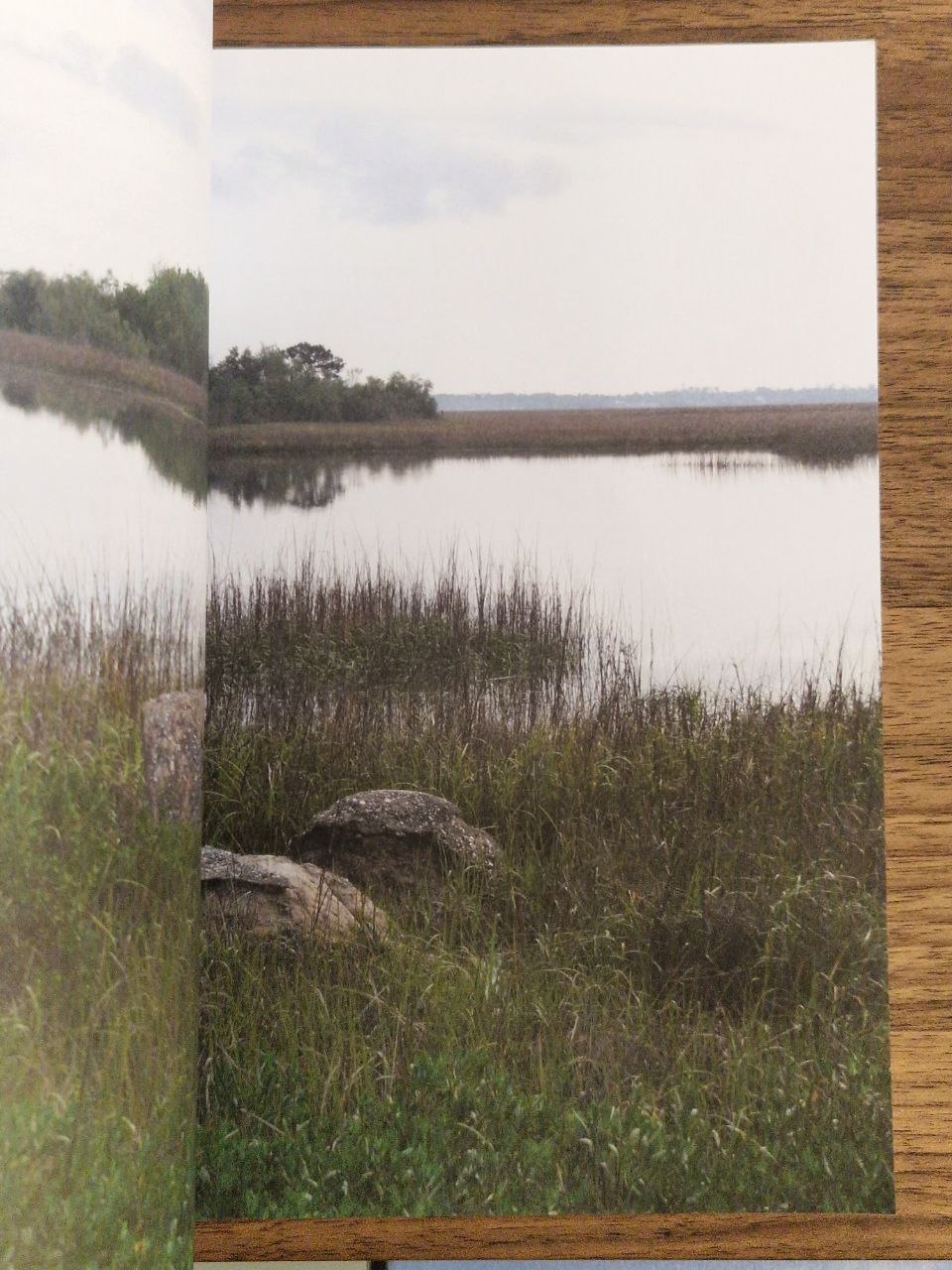 MARSH RUINS