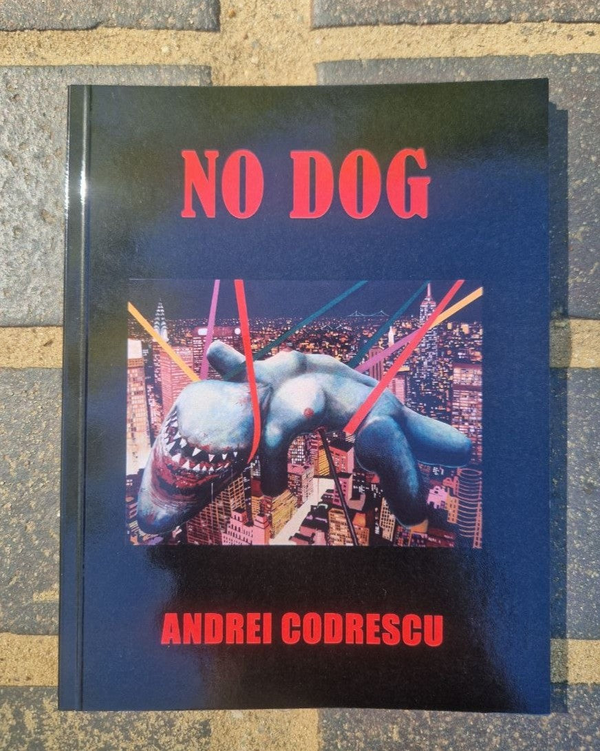 NO DOG