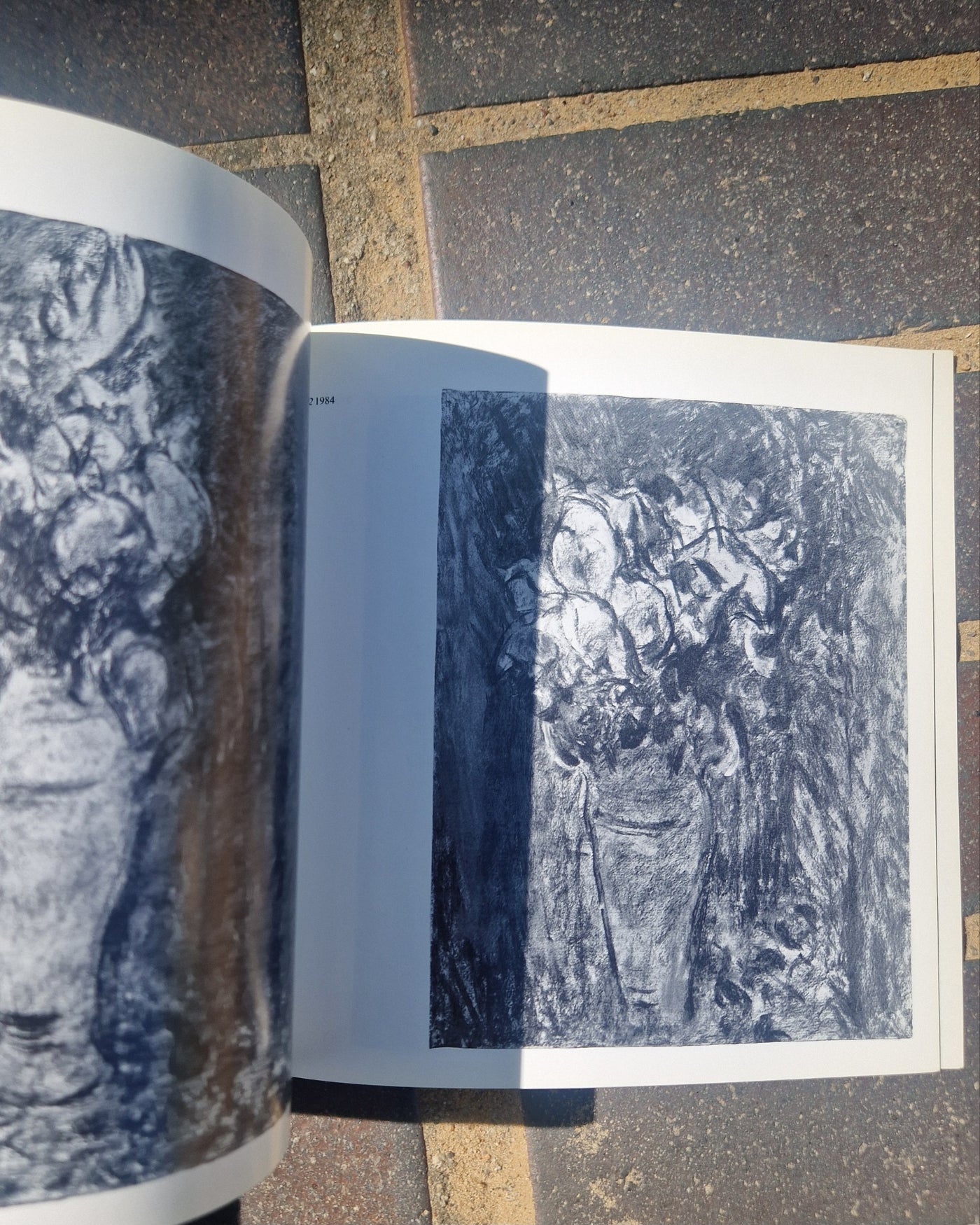 JOHN HUBBARD – THE BREATH OF NATURE: WORK FROM 1981 TO 1985