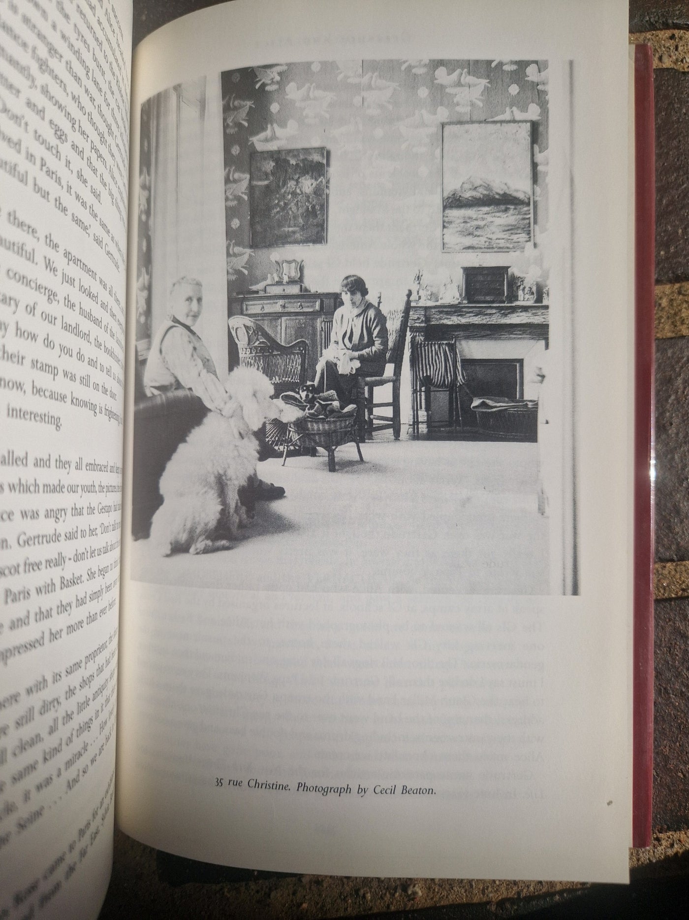 GERTRUDE AND ALICE